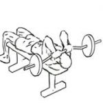 Lying Triceps Push weight lifting exercise